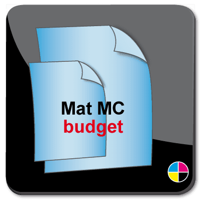 http://www.smitsdrukwerken.nl/sd/Content/images/article/flyers-ongevouwen_mat budget.png